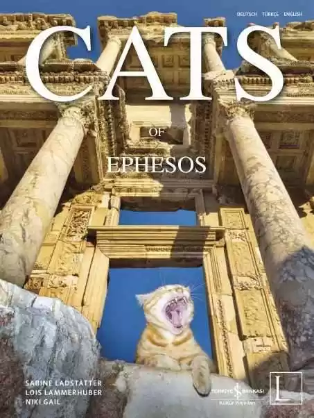 Cats of Ephesos – Sert Kapak kapağı