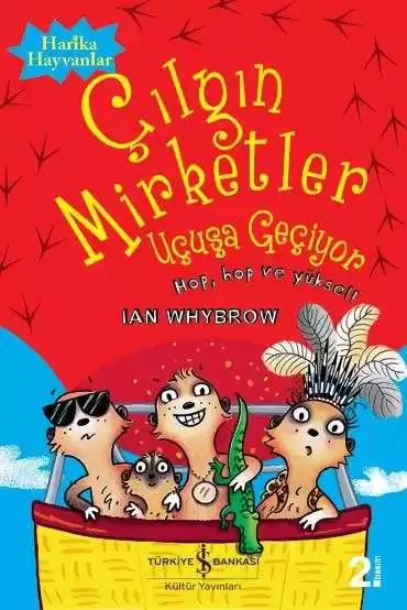 Çılgın Mirketler Uçuşa Geçiyor kapağı
