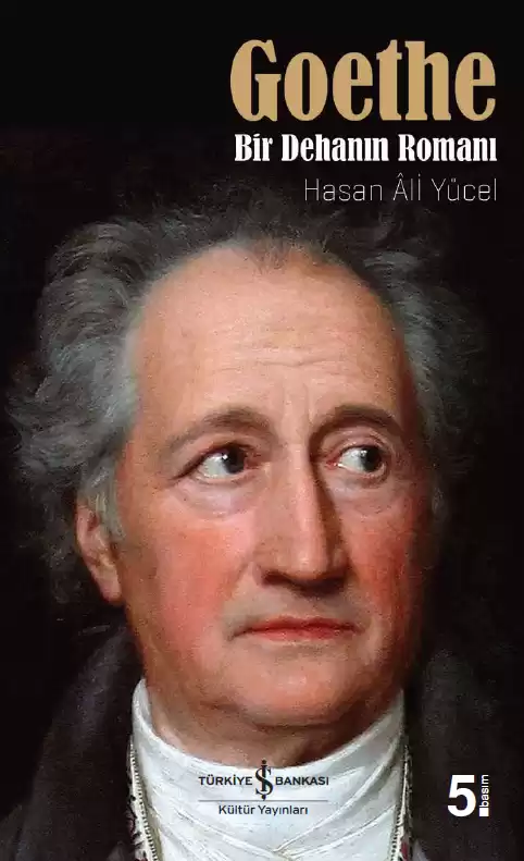Goethe – Bir Dehanın Romanı kapağı