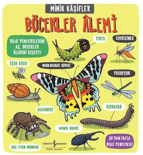 Minik Kâşifler Böcekler Âlemi kapağı
