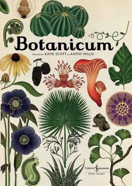 Botanicum – Doğa Tarihi Müzesi kapağı