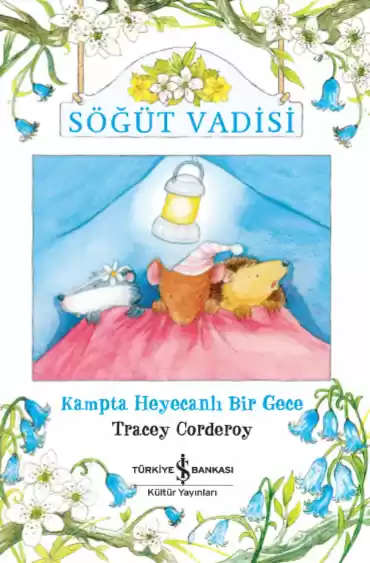 Söğüt Vadisi – Kampta Heyecanlı Bir Gece kapağı