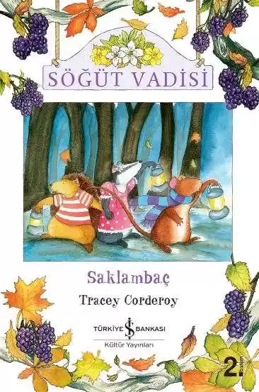 Söğüt Vadisi – Saklambaç kapağı
