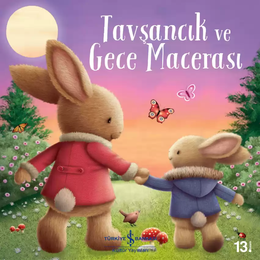Tavşancık ve Gece Macerası kapağı