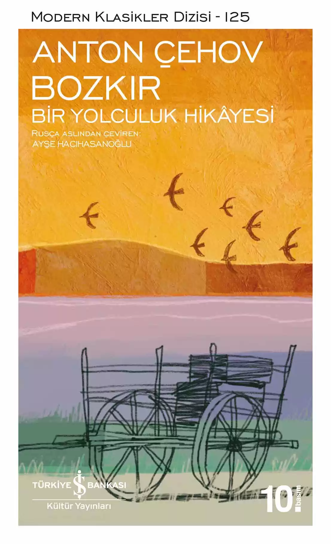 Bozkır – Bir Yolculuk Hikâyesi kapağı