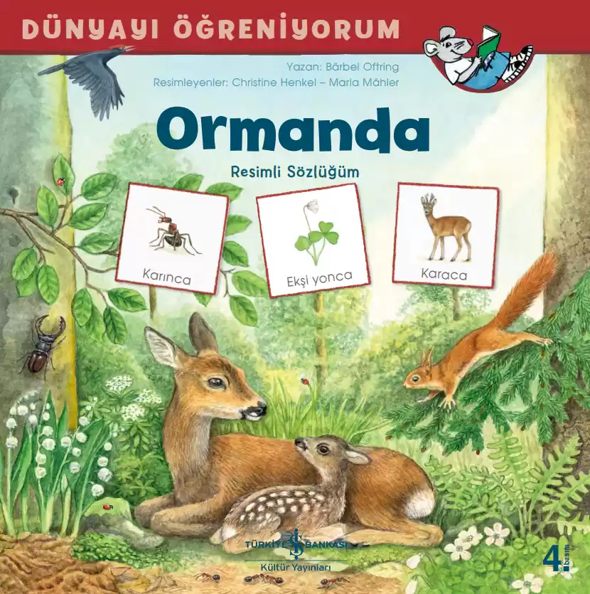 Dünyayı Öğreniyorum Ormanda Resimli Sözlüğüm kapağı