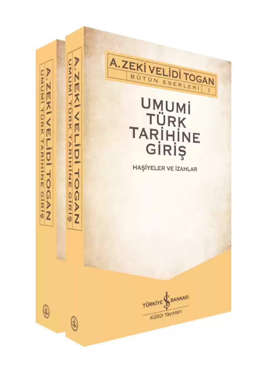 Umumi Türk Tarihine Giriş 2 Cilt Takım kapağı