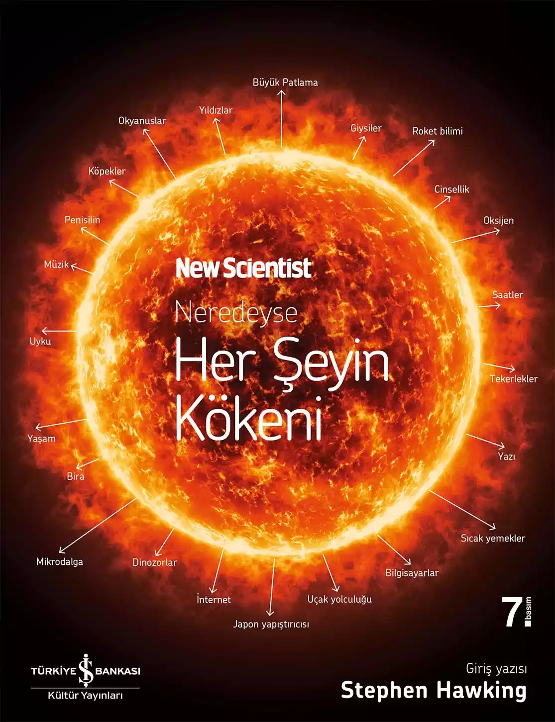 Neredeyse Her Şeyin Kökeni kapağı