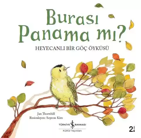 Burası Panama mı? Heyecanlı Bir Göç Öyküsü kapağı