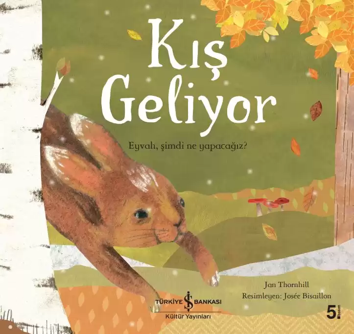 Kış Geliyor kapağı
