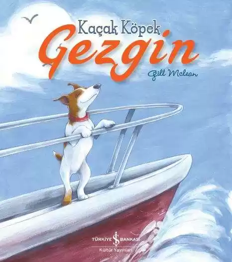 Kaçak Köpek Gezgin kapağı