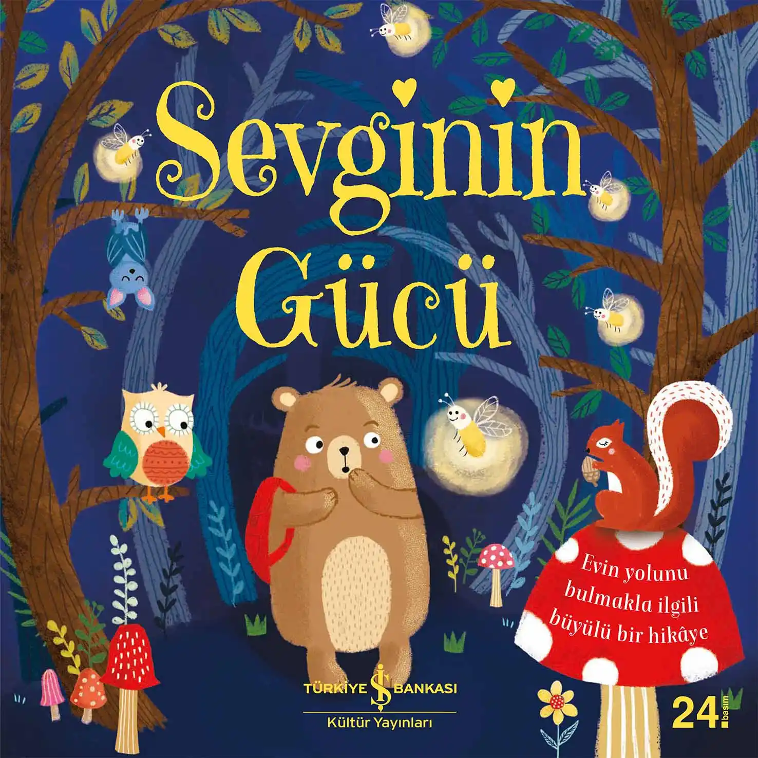 Sevginin Gücü kapağı