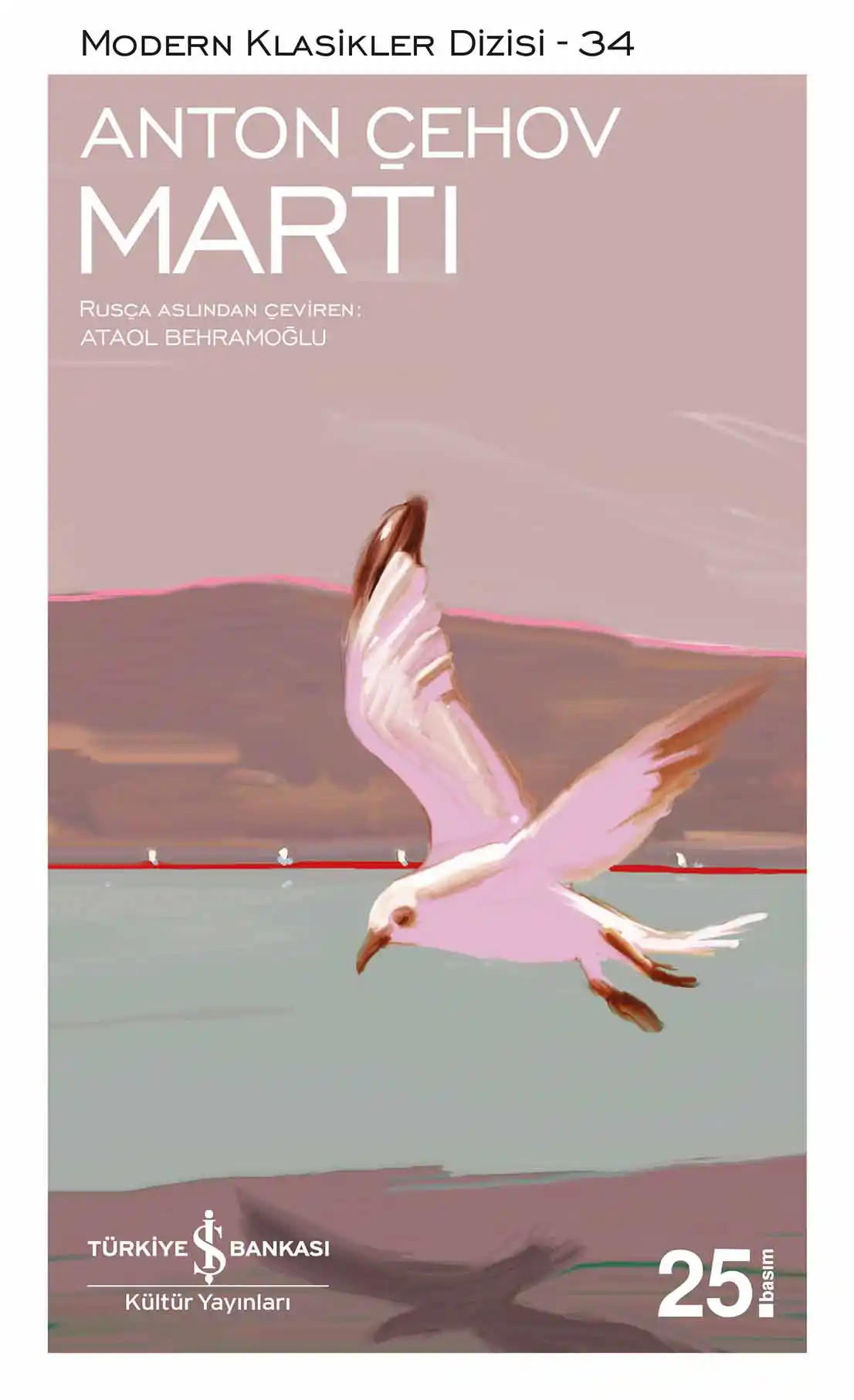 Martı kapağı