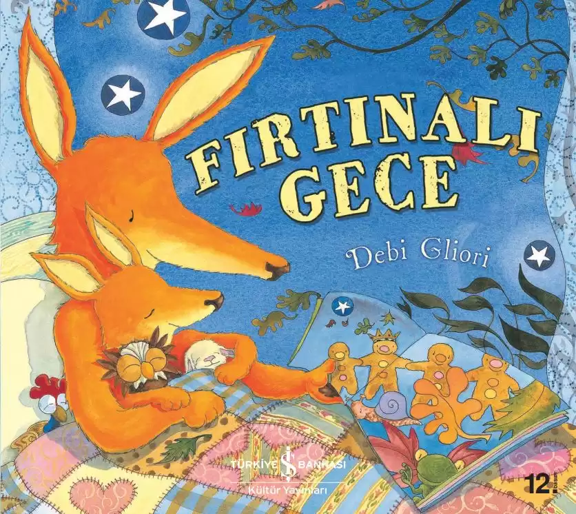 Fırtınalı Gece kapağı