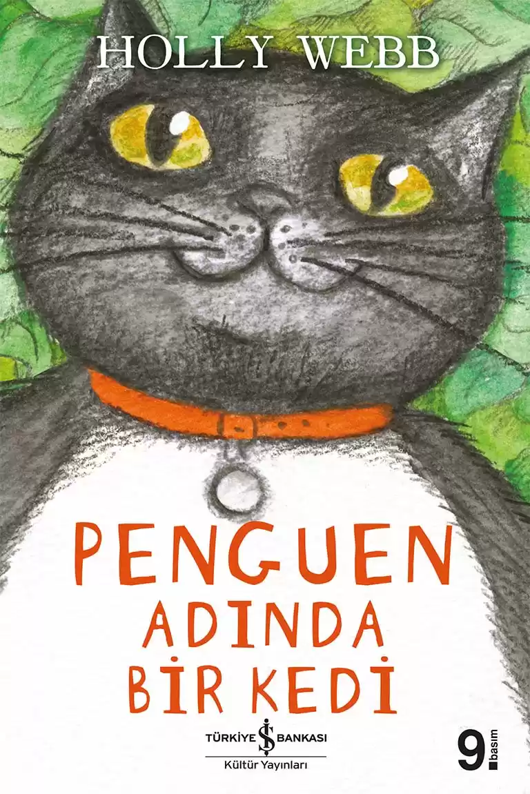 Penguen Adında Bir Kedi kapağı