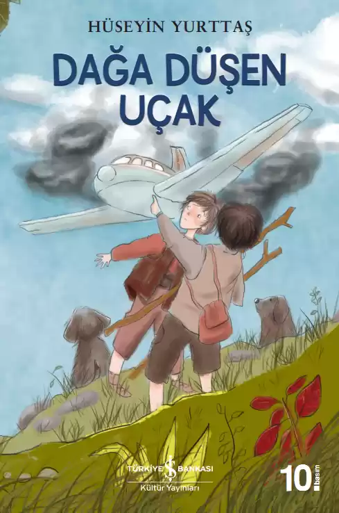 Dağa Düşen Uçak kapağı