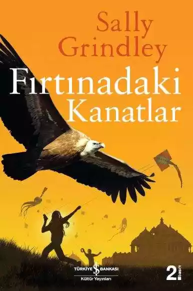 Fırtınadaki Kanatlar kapağı