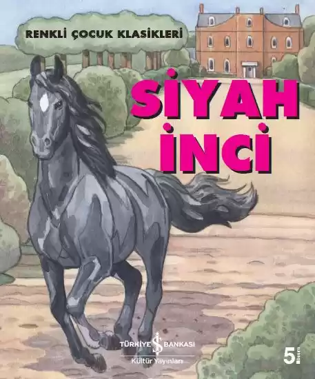 Siyah İnci – Renkli Çocuk Klasikleri kapağı