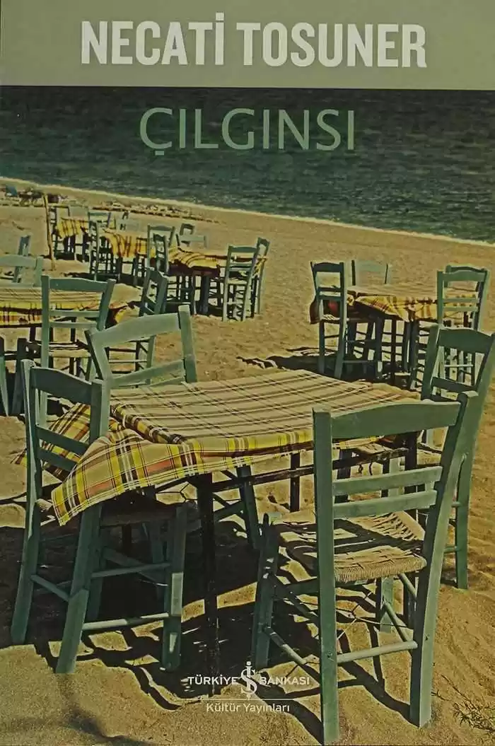 Çılgınsı kapağı