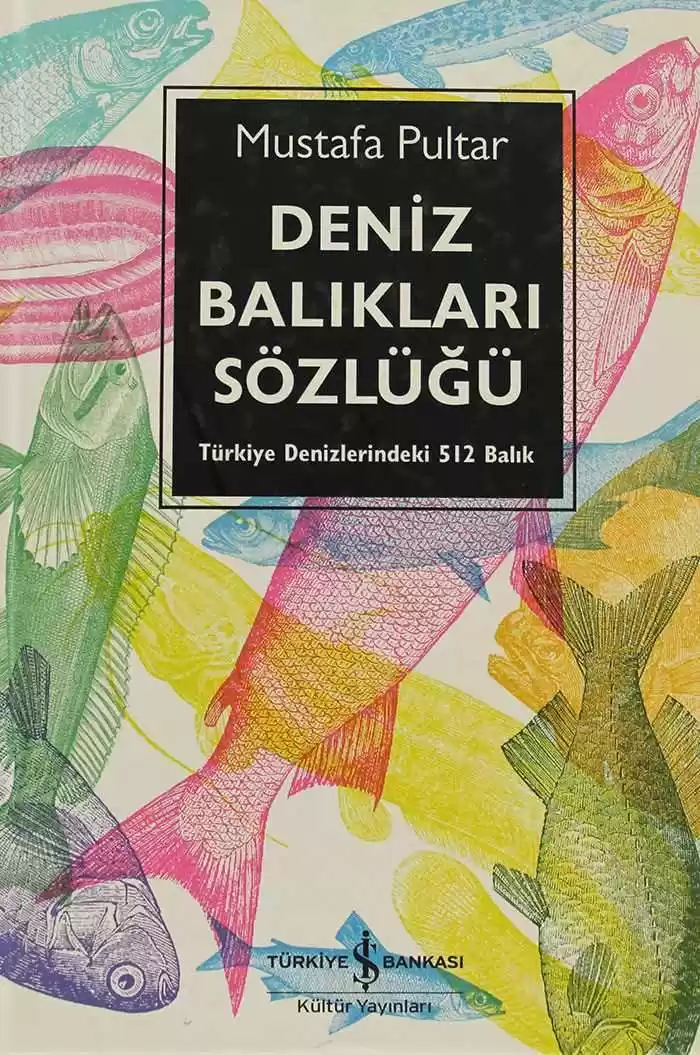 Deniz Balıkları Sözlüğü kapağı
