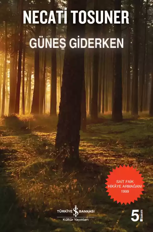 Güneş Giderken kapağı