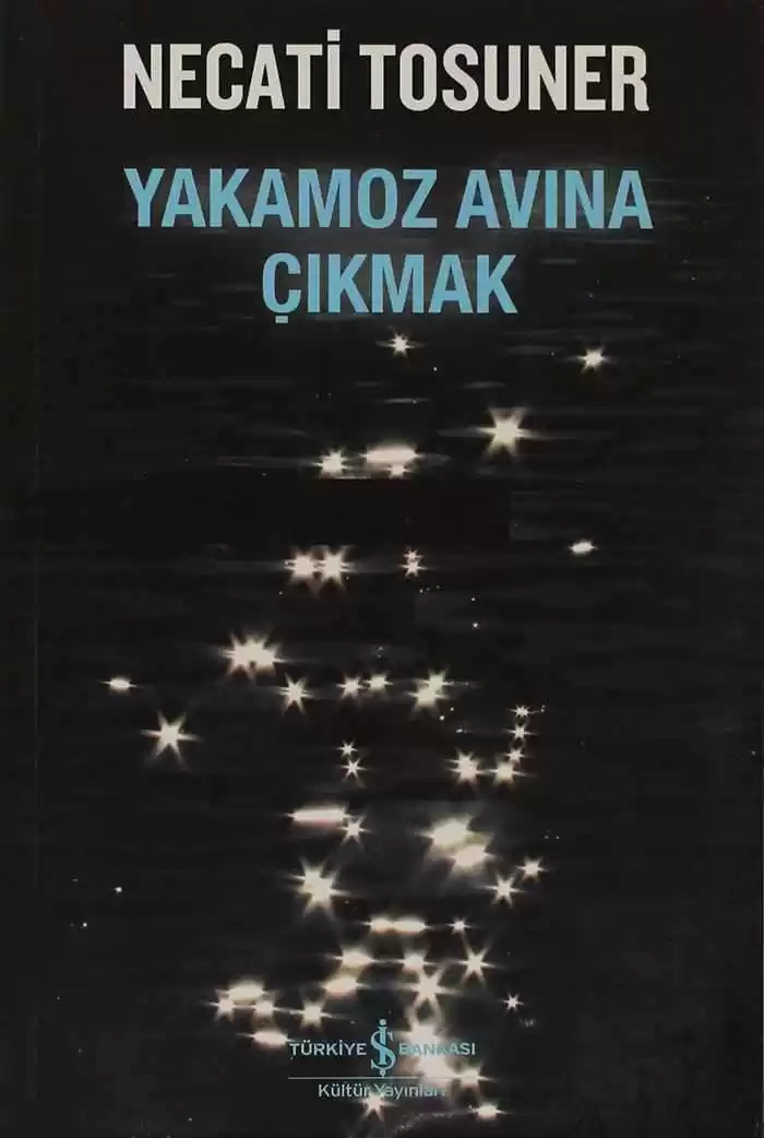 Yakamoz Avına Çıkmak kapağı