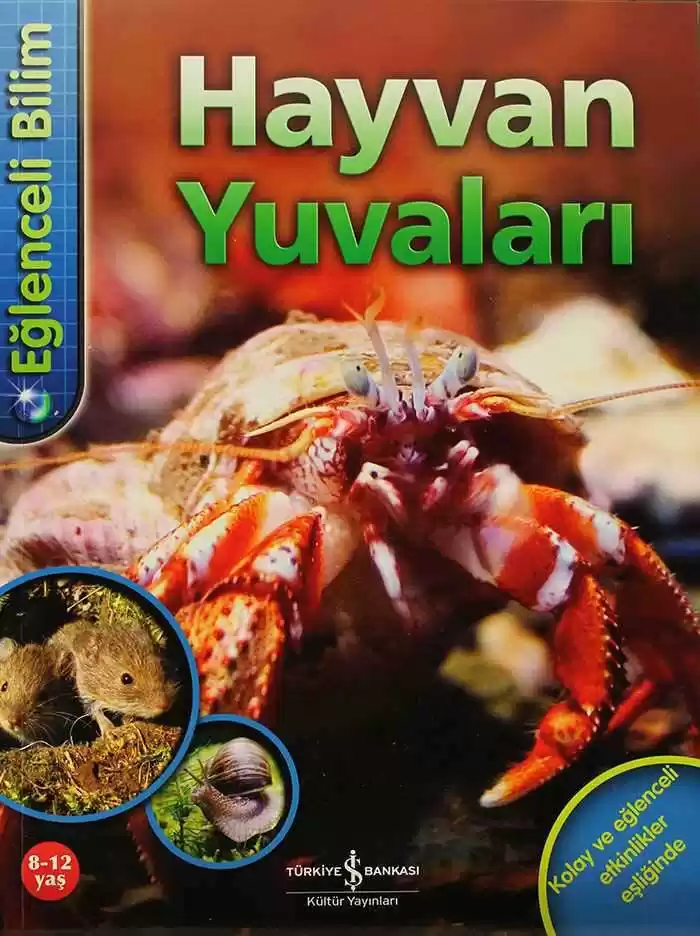 Eğlenceli Bilim – Hayvan Yuvaları kapağı