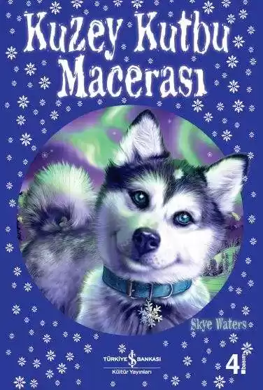Kuzey Kutbu Macerası kapağı