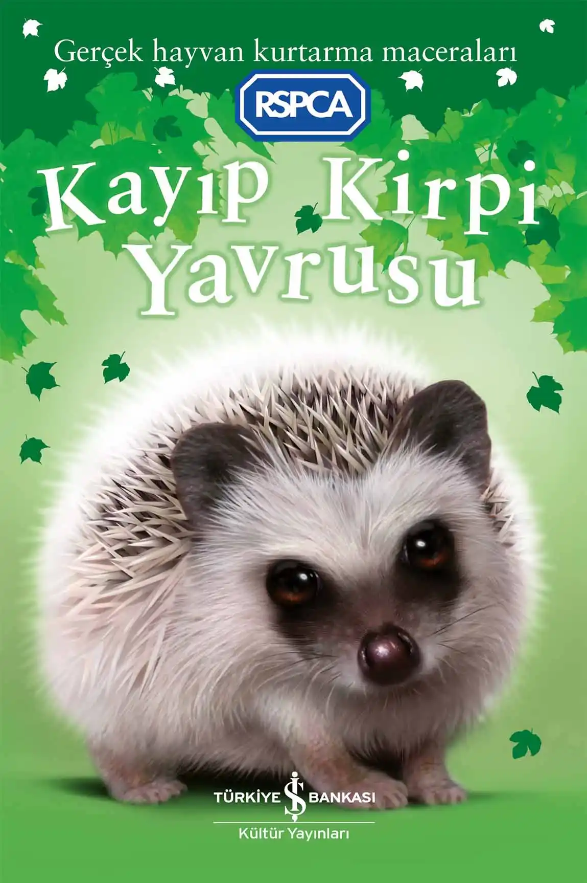 Kayıp Kirpi Yavrusu kapağı