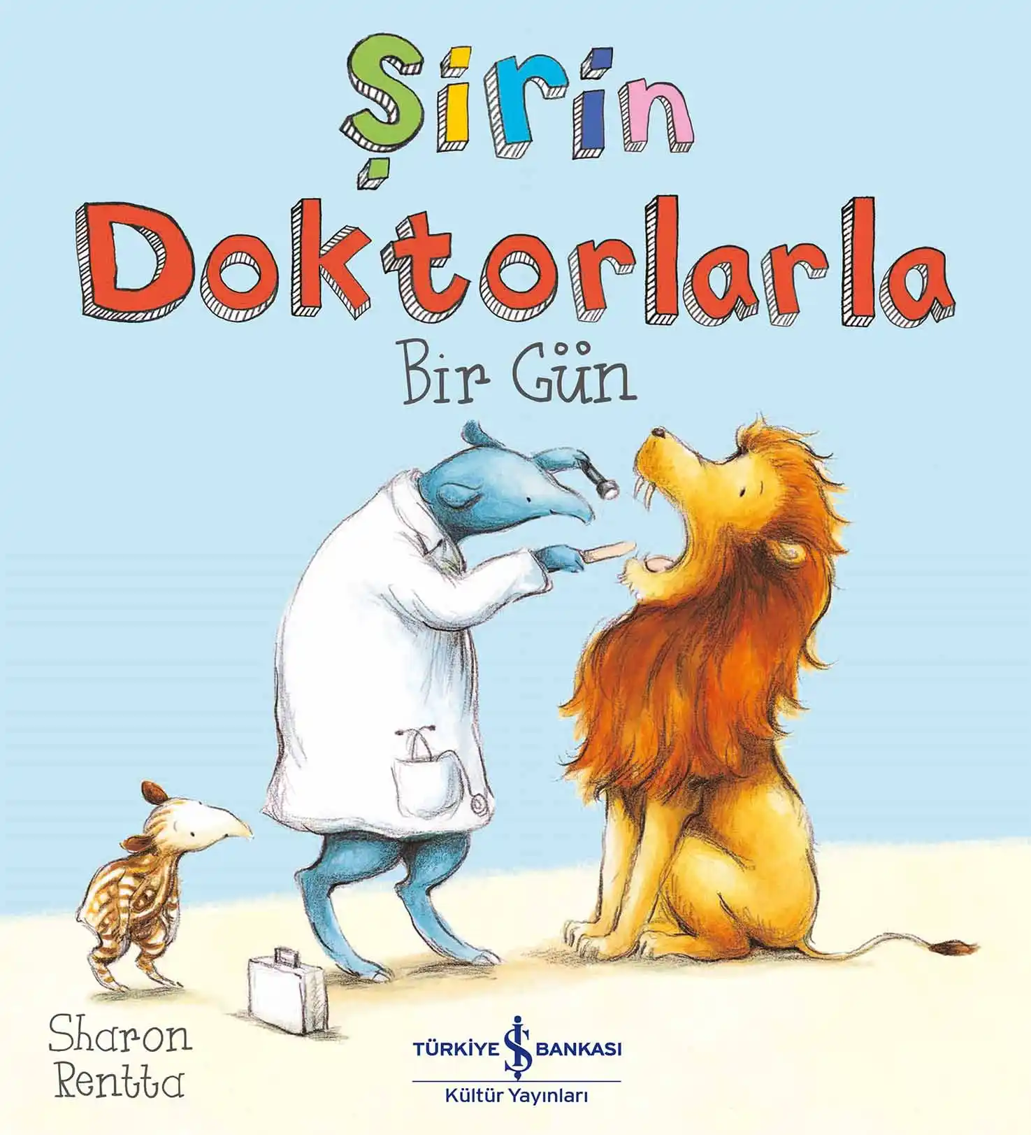 Şirin Doktorlarla Bir Gün kapağı