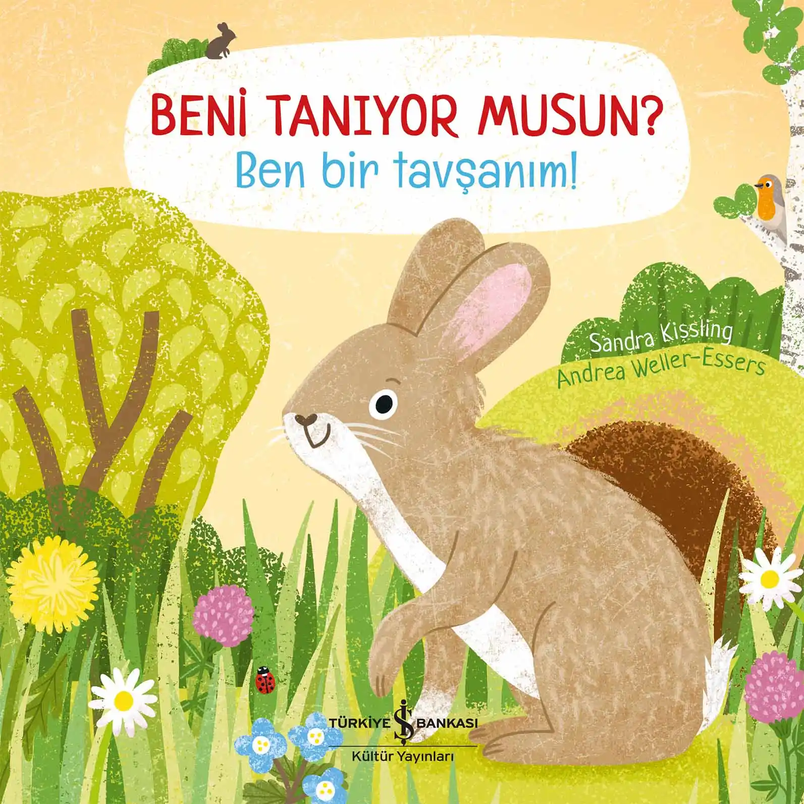 Beni Tanıyor Musun? Ben Bir Tavşanım! kapağı