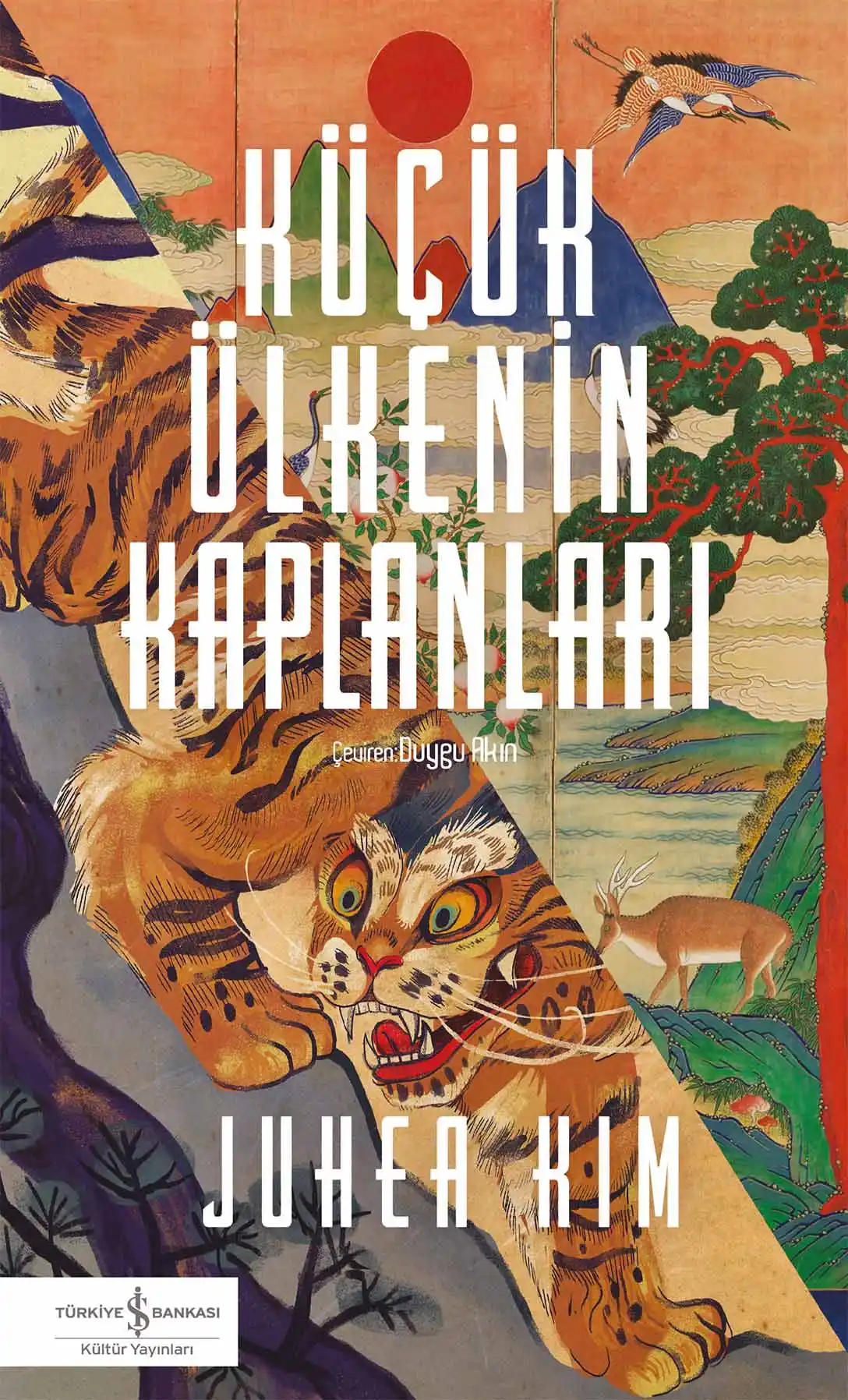 Küçük Ülkenin Kaplanları kapağı