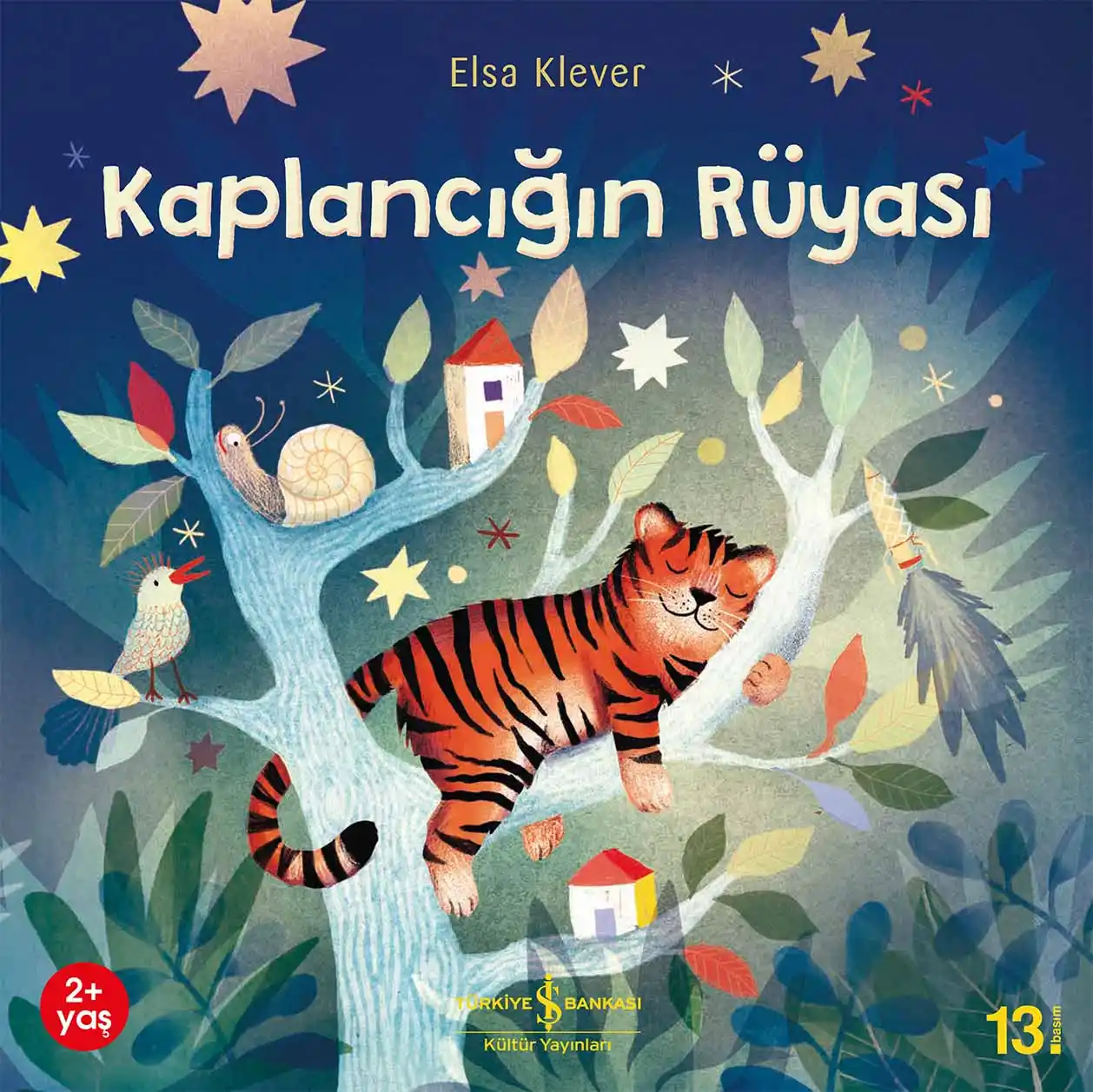 Kaplancığın Rüyası kapağı