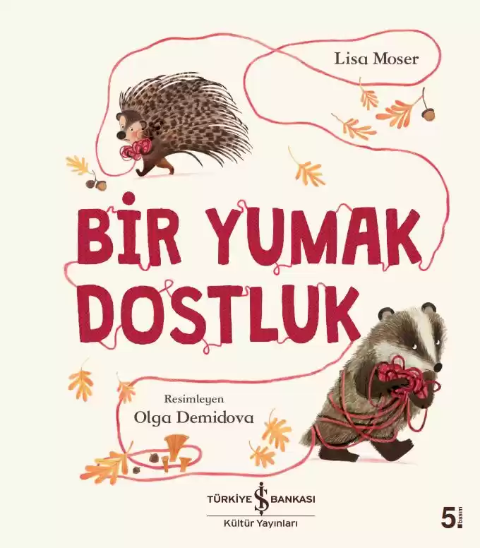Bir Yumak Dostluk kapağı