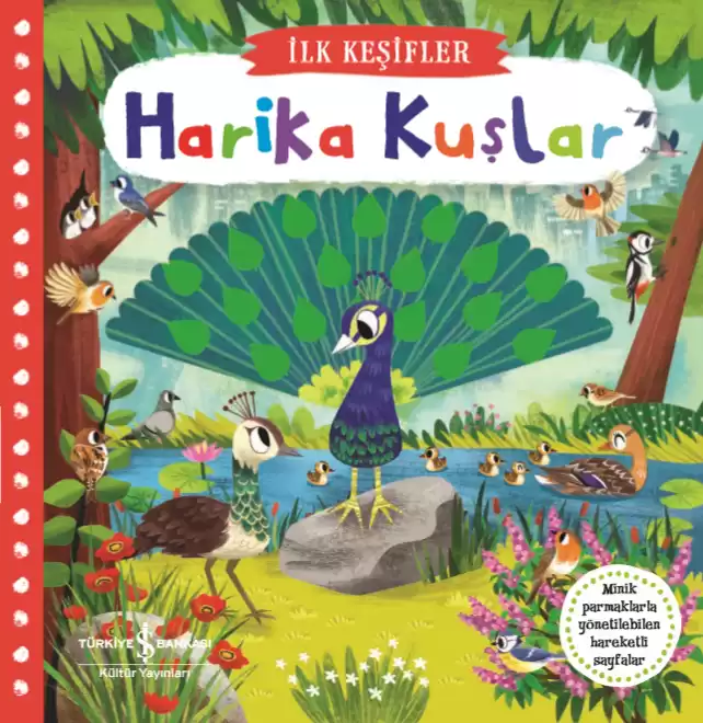 Hareketli Harika Kuşlar kapağı