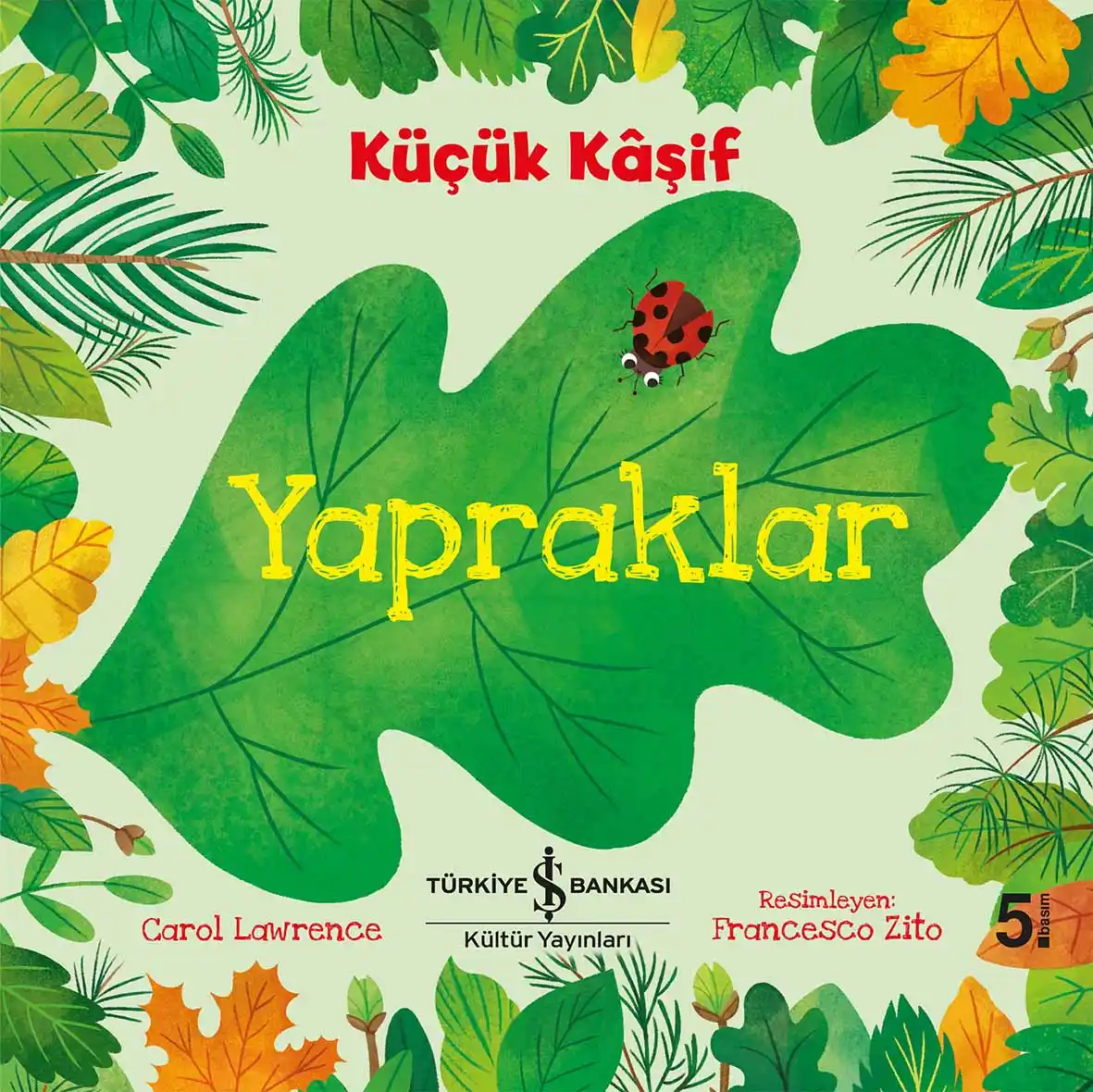 Küçük Kâşif – Yapraklar kapağı