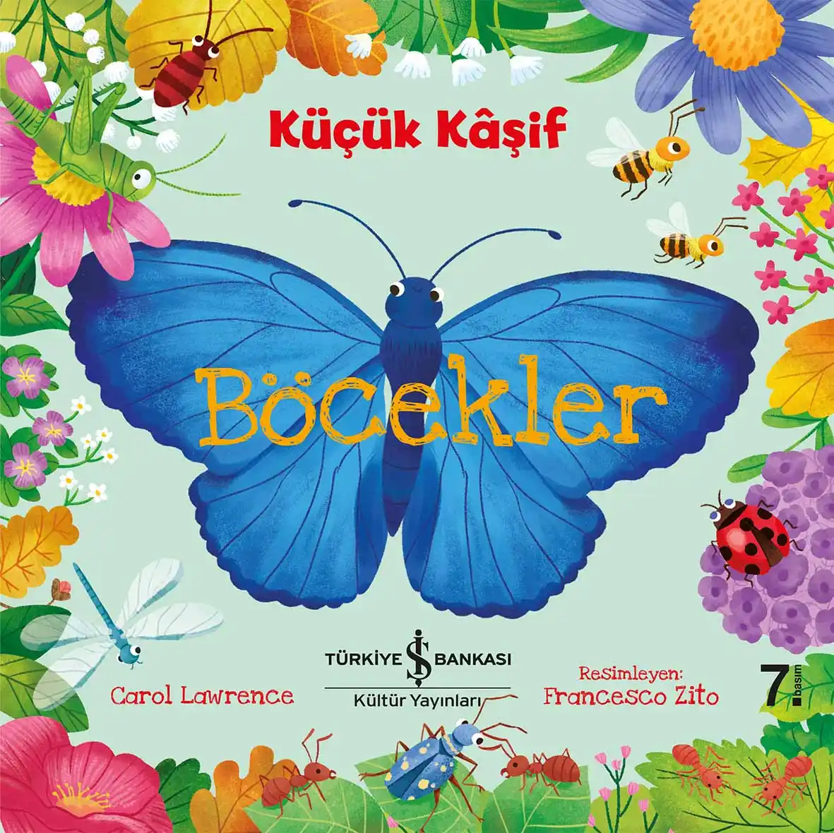 Küçük Kâşif – Böcekler kapağı