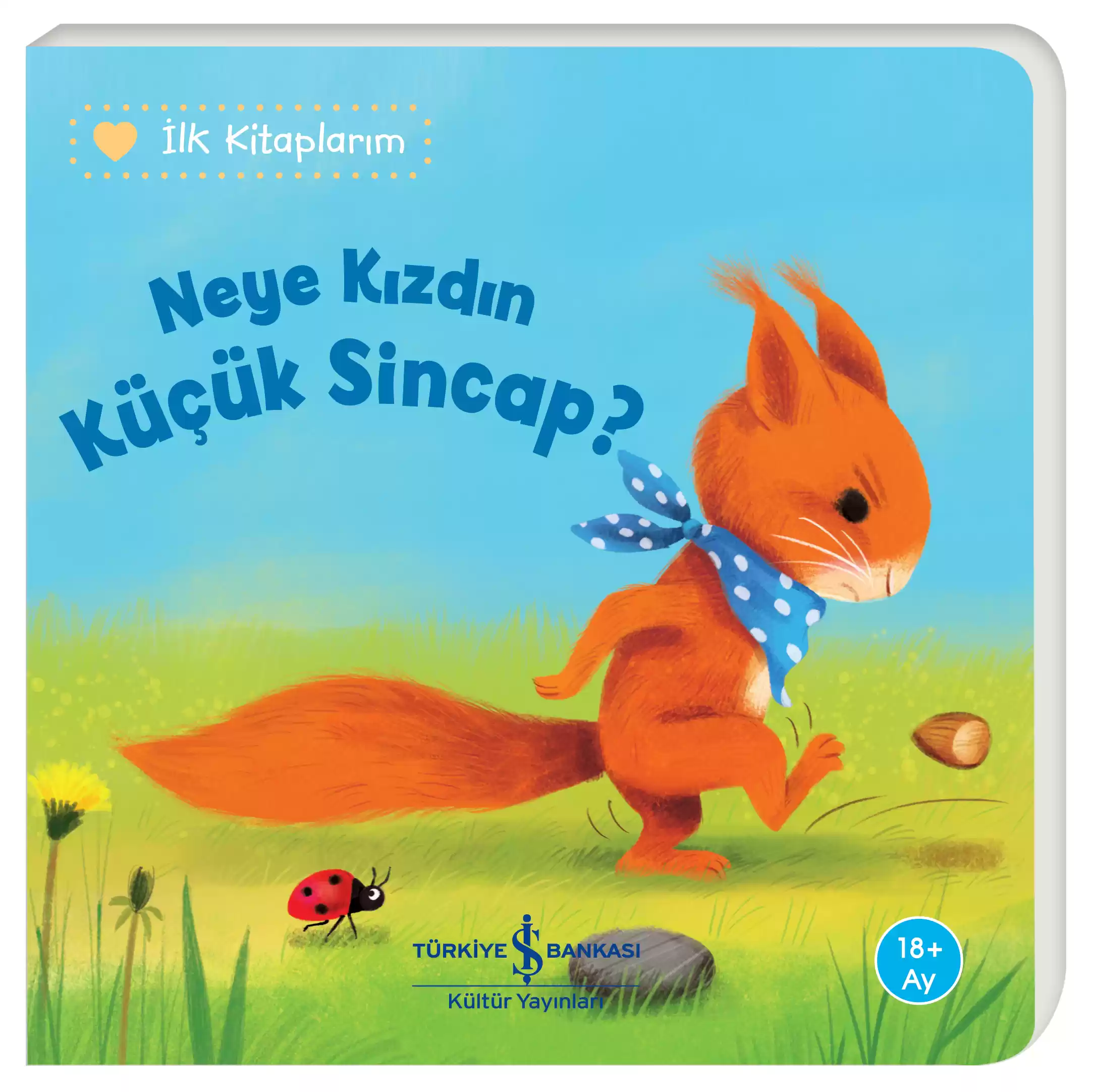 Neye Kızdın Küçük Sincap – İlk Kitaplarım kapağı