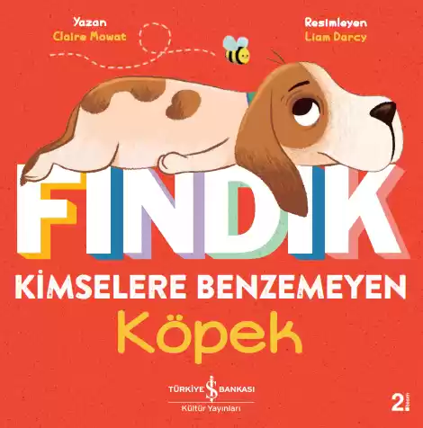 Fındık Kimselere Benzemeyen Köpek kapağı