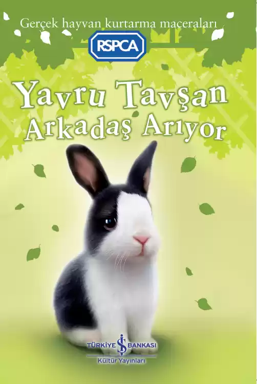 Yavru Tavşan Arkadaş Arıyor kapağı
