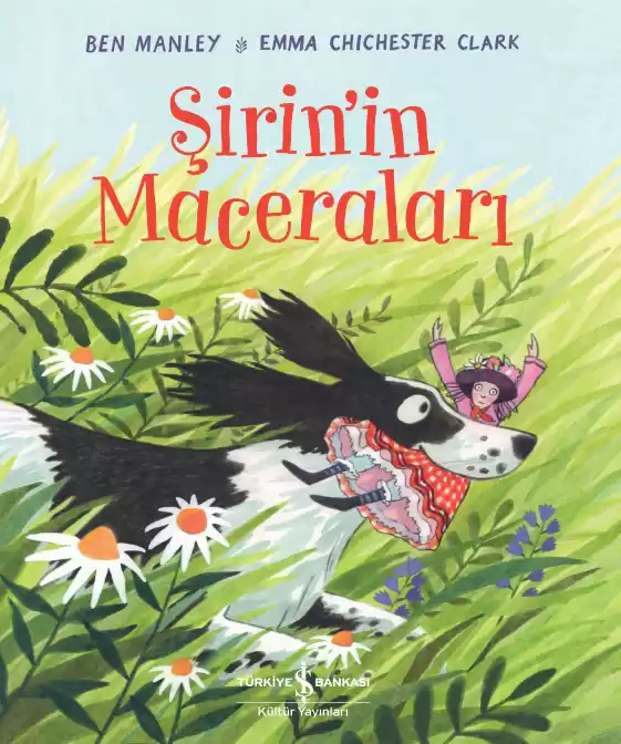 Şirin’in Maceraları kapağı