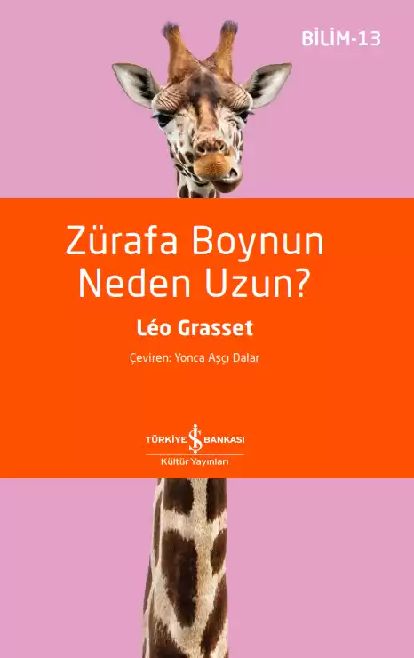 Zürafa Boynun Neden Uzun? kapağı