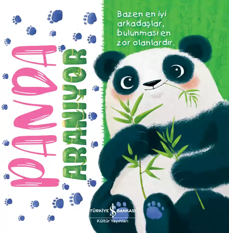 Panda Aranıyor kapağı