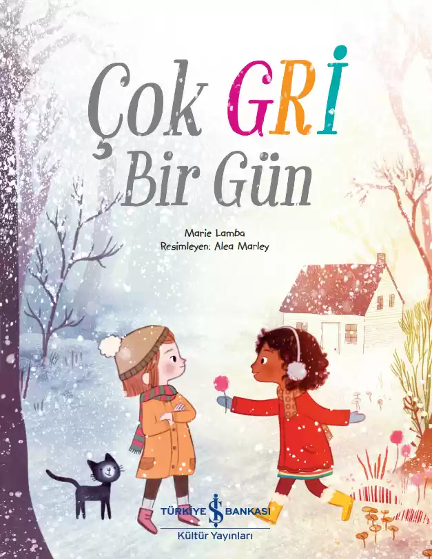 Çok Gri Bir Gün kapağı