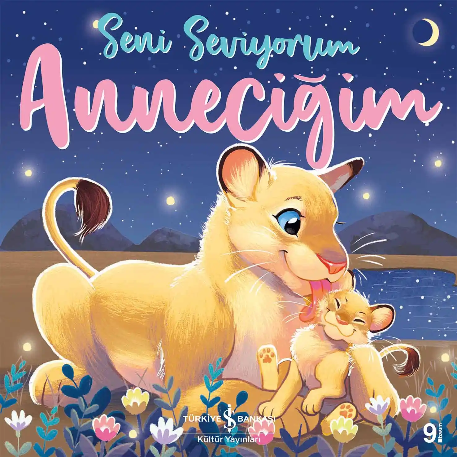 Seni Seviyorum Anneciğim kapağı