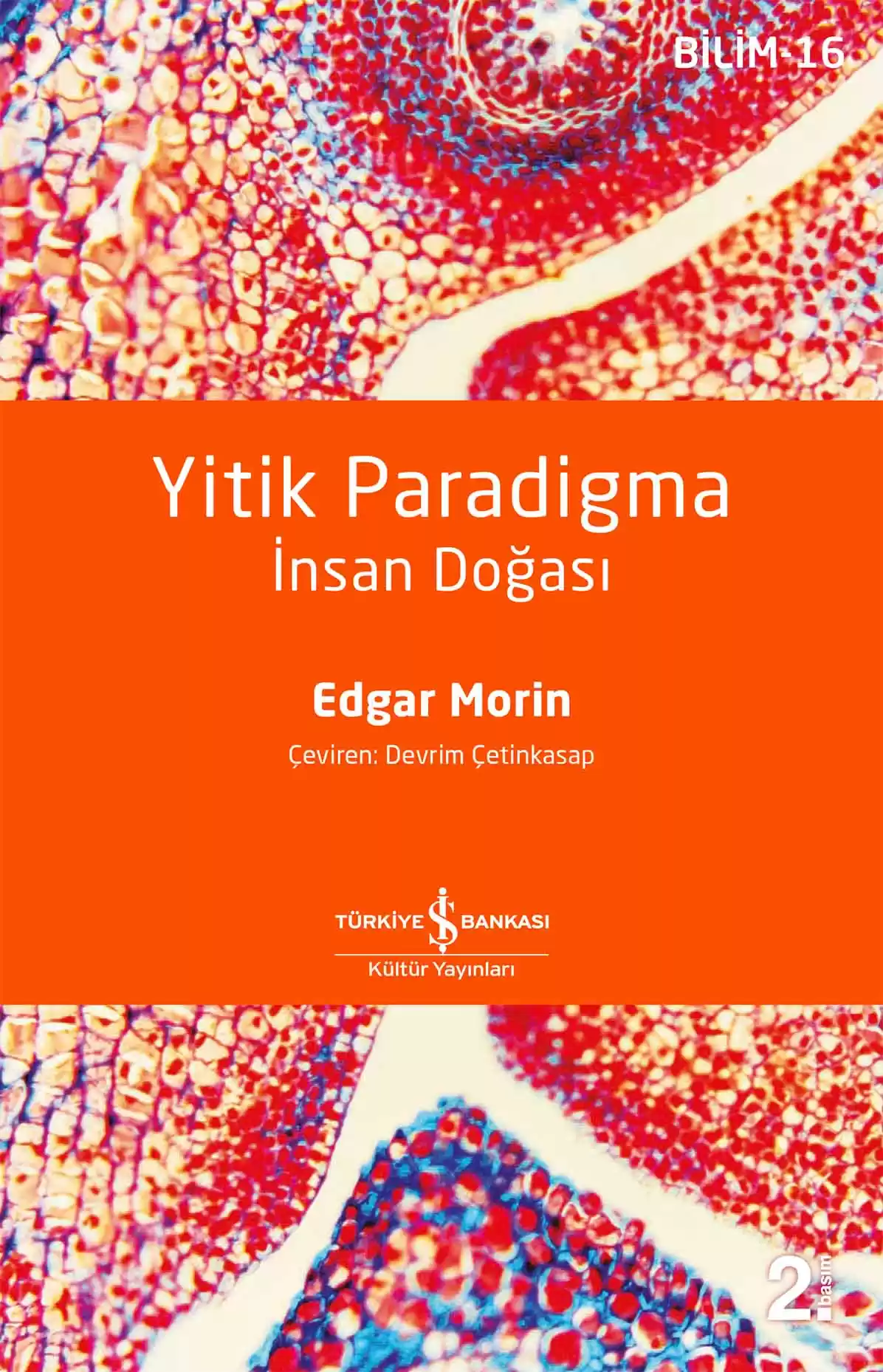 Yitik Paradigma – İnsan Doğası kapağı