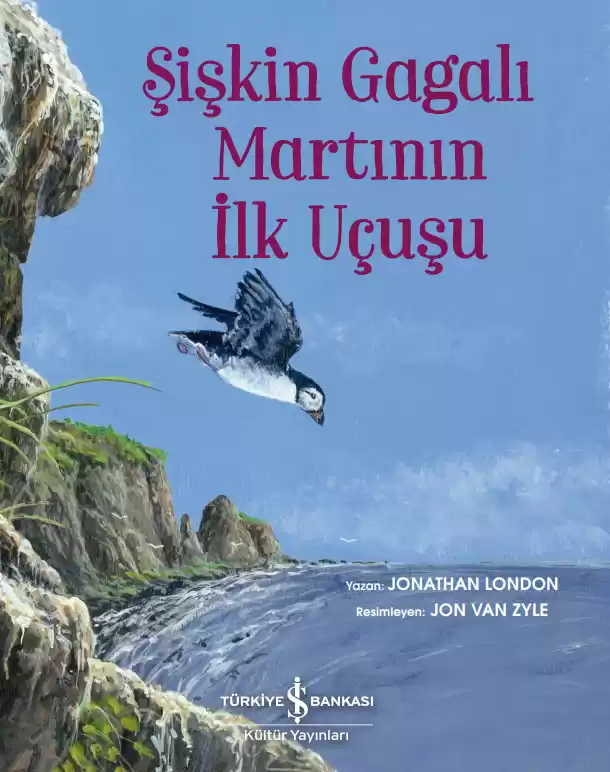 Şişkin Gagalı Martının İlk Uçuşu kapağı