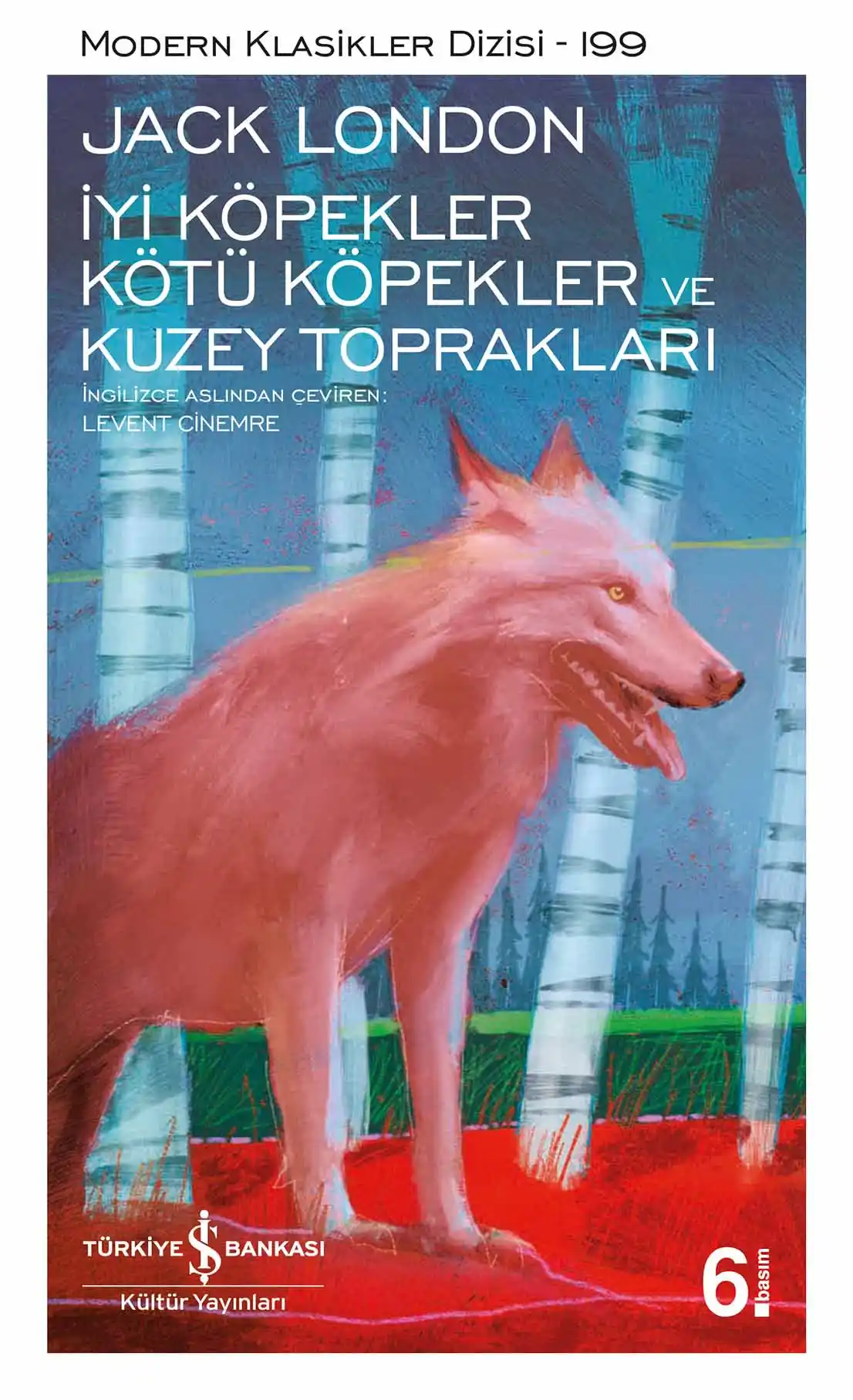 İyi Köpekler Kötü Köpekler ve Kuzey Toprakları kapağı