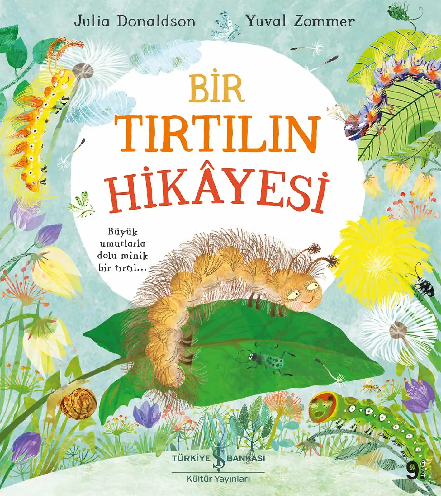 Bir Tırtılın Hikâyesi kapağı