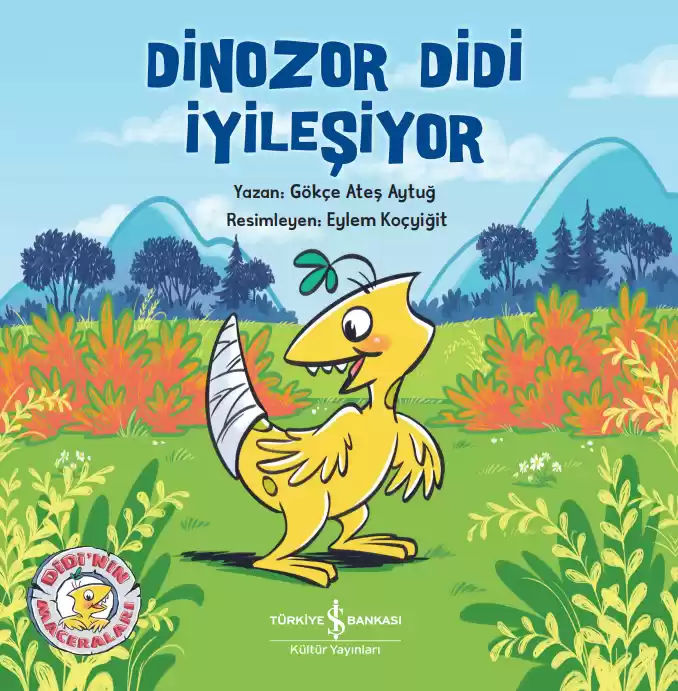 Dinozor Didi İyileşiyor kapağı